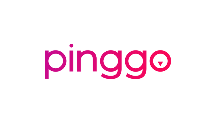 PingGo là gì? Hướng dẫn kiếm tiền với PingGo