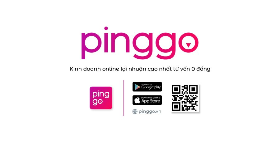 PingGo là gì? Hướng dẫn kiếm tiền với PingGo